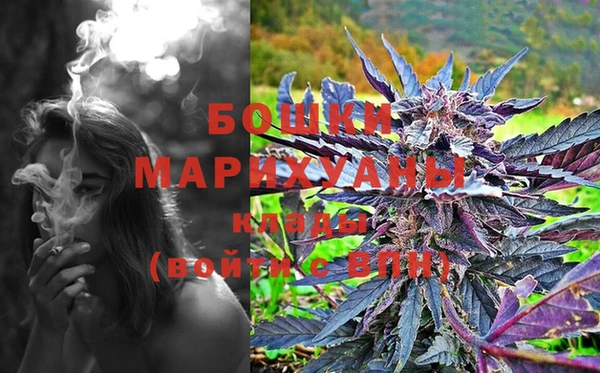 ГАЛЛЮЦИНОГЕННЫЕ ГРИБЫ Елабуга