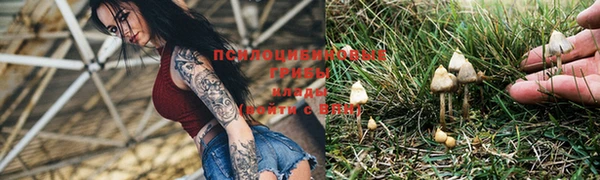 гидропоника Ельня