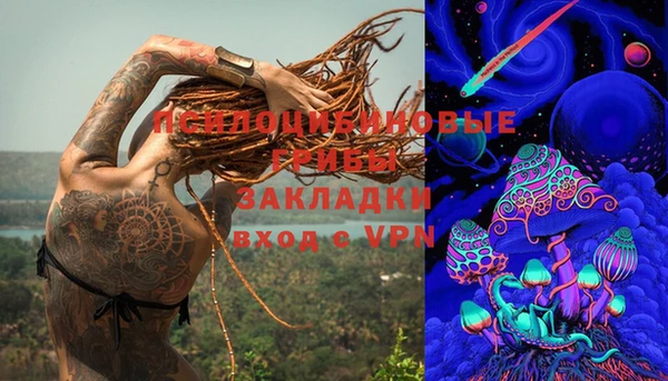 ПСИЛОЦИБИНОВЫЕ ГРИБЫ Елизово