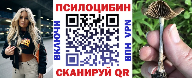 Псилоцибиновые грибы Cubensis  Купить  Ак-Довурак 